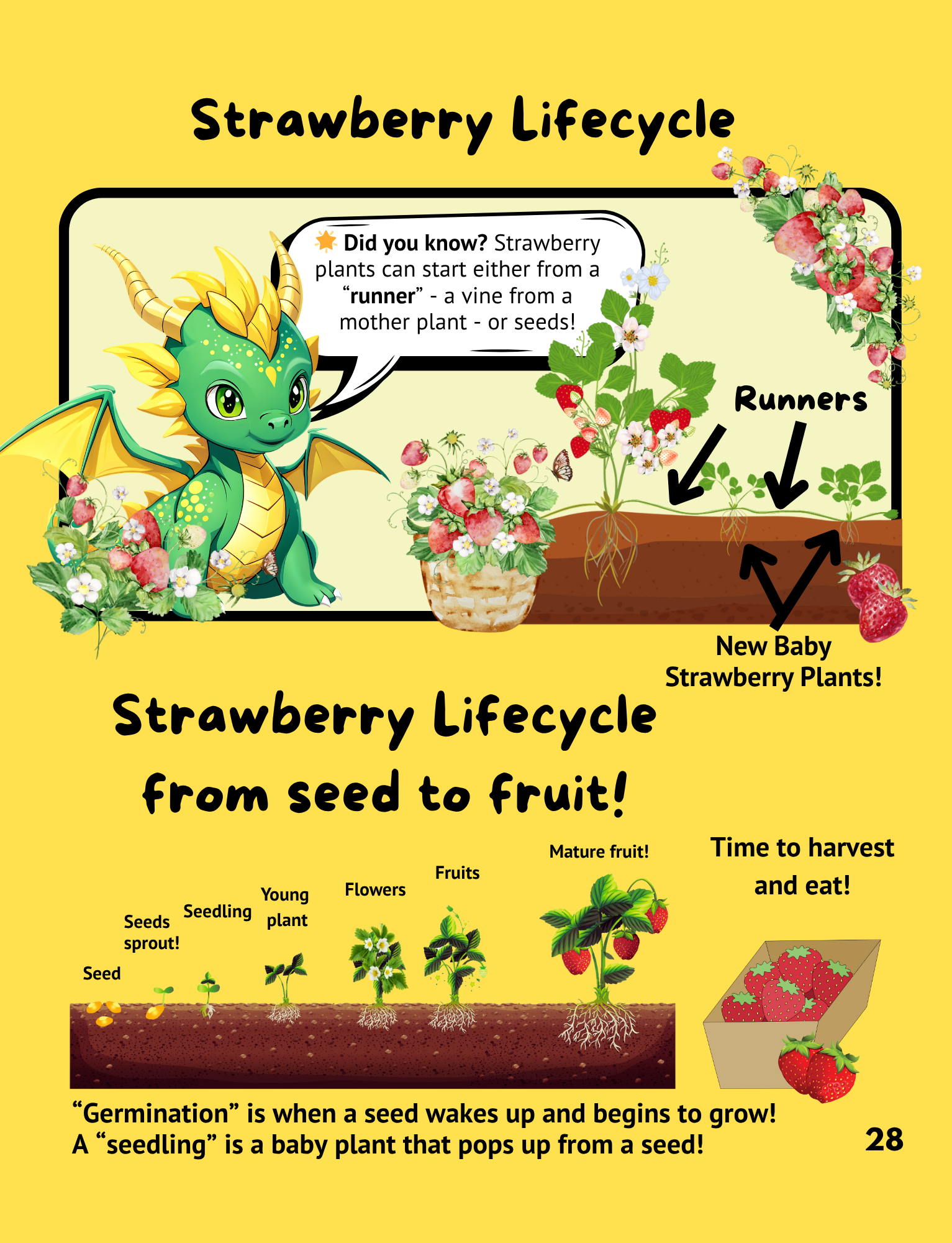 Kids Activity Books Ages 7-10 | Discover Science & Art in the Magical World of Dragonwing Valley